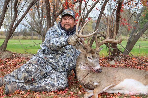 Large buck